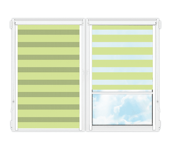 Рулонные кассетные шторы День Ночь Делия-121 цена. Купить в «Мастерская Жалюзи»